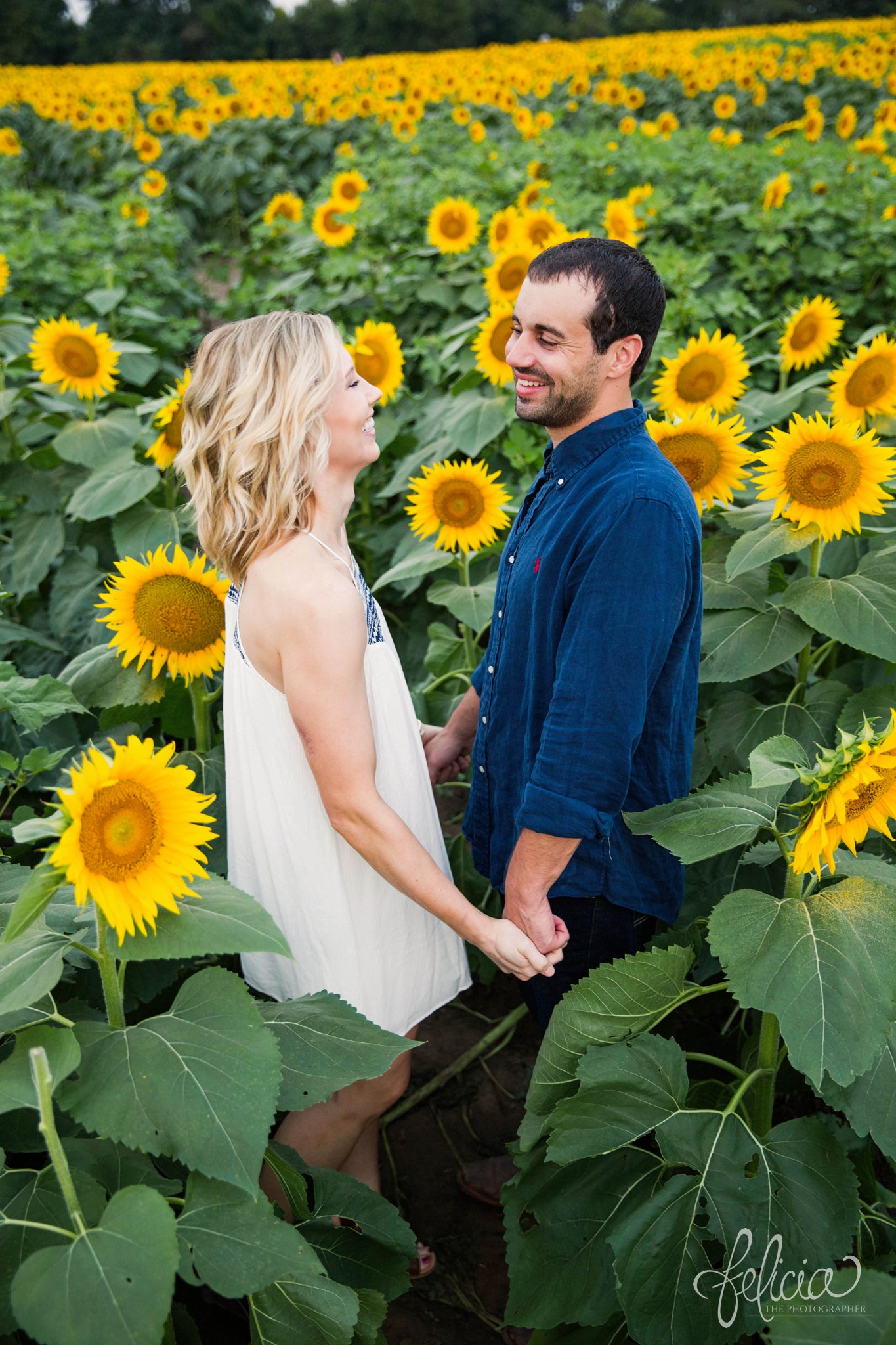 Sunrise Engagement Photos | Felicia The Photographer | Sunflower field | laughing