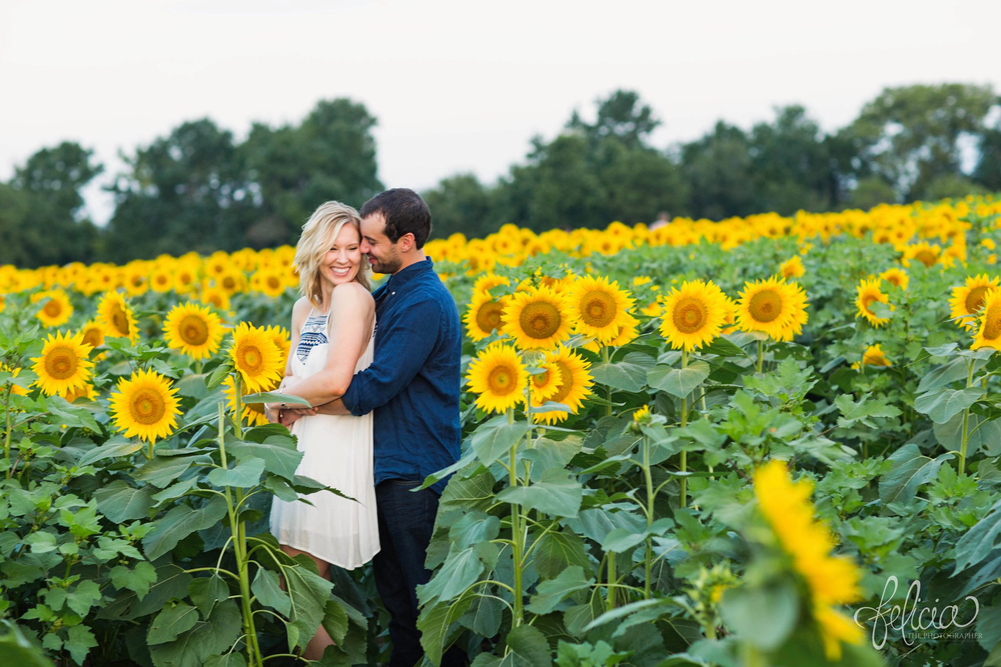 Sunrise Engagement Photos | Felicia The Photographer | Sunflower field | snuggle from behind