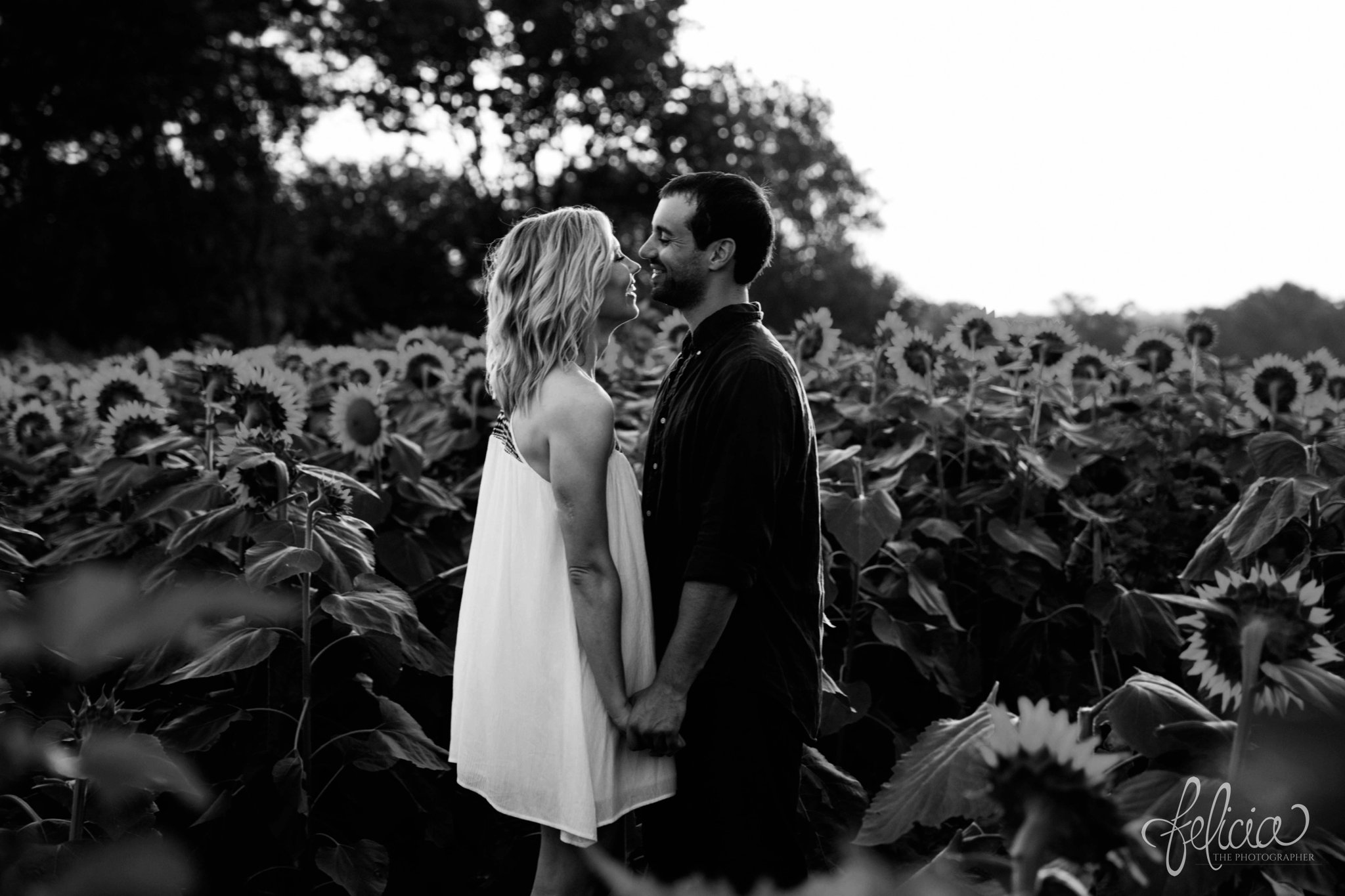 Sunrise Engagement Photos | Felicia The Photographer | Sunflower field | black and white | looking into eyes