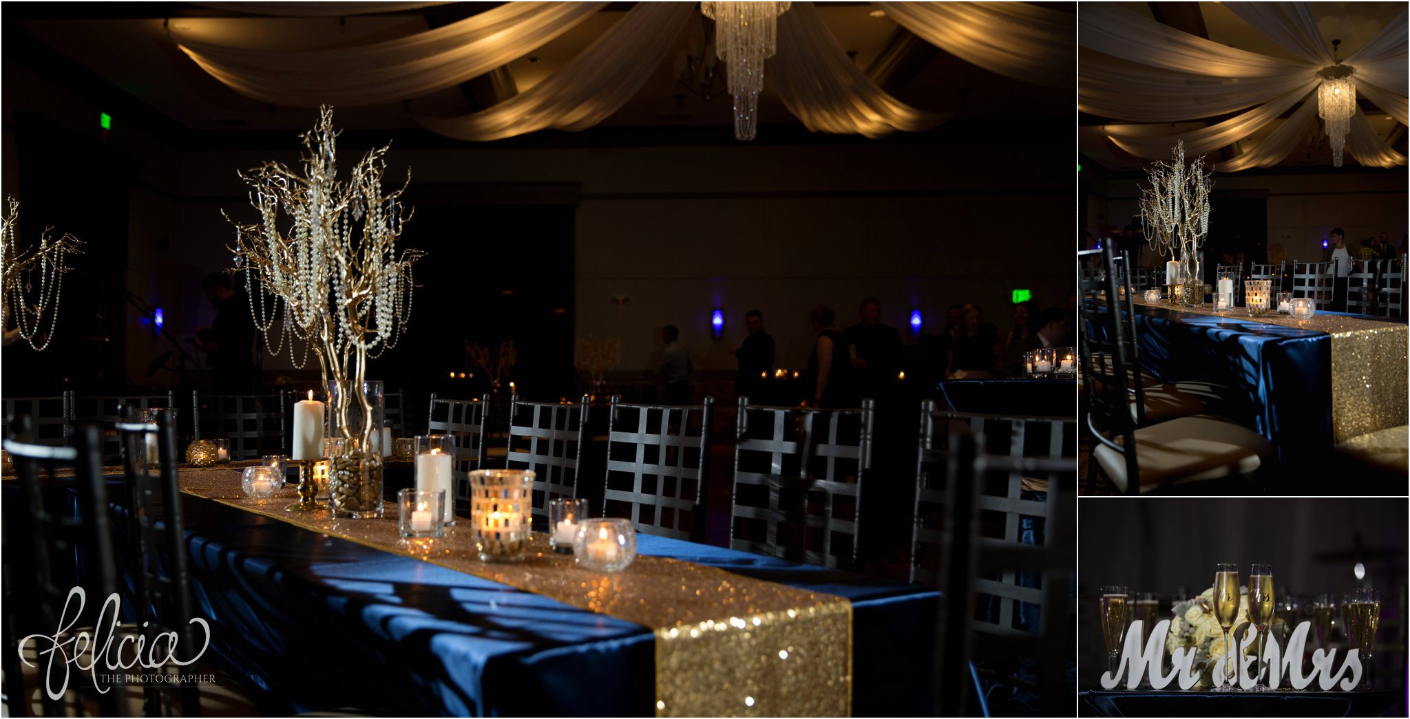 Navy and Gold Wedding Photos | Noahs Event Venue | Reception Venue | Trees | Pearls | Candles | Chandelieres