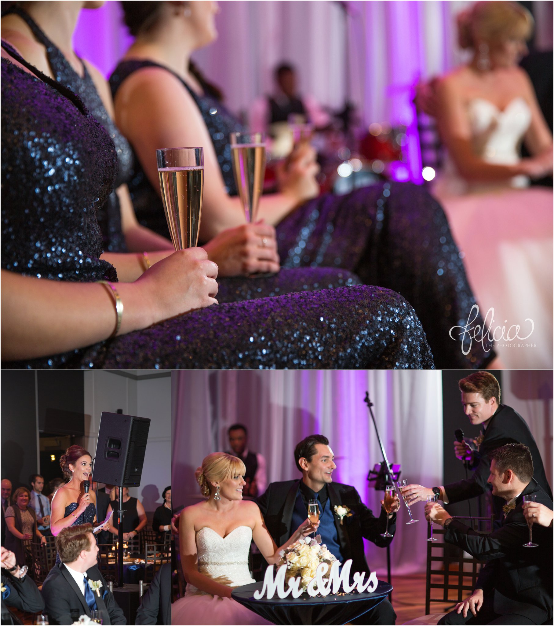 Navy and Gold Wedding Photos | Noahs Event Venue | Reception | Toasts | Sequins | Champagne Flutes