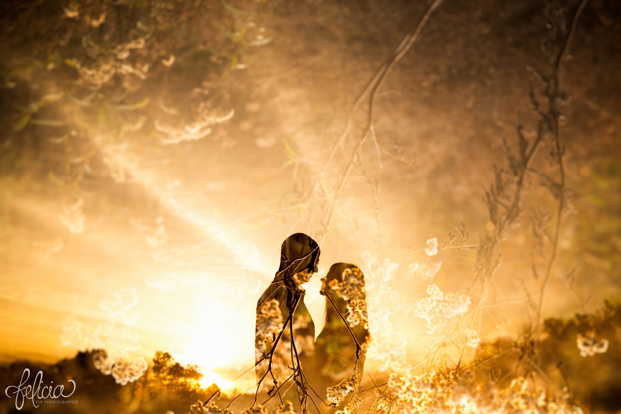 engagement pictures | engagement photos | nature | golden hour | sunset | sunset photography | fall | autumn | burgundy | natural | sun flare | nature background | silhouette | sun beams 