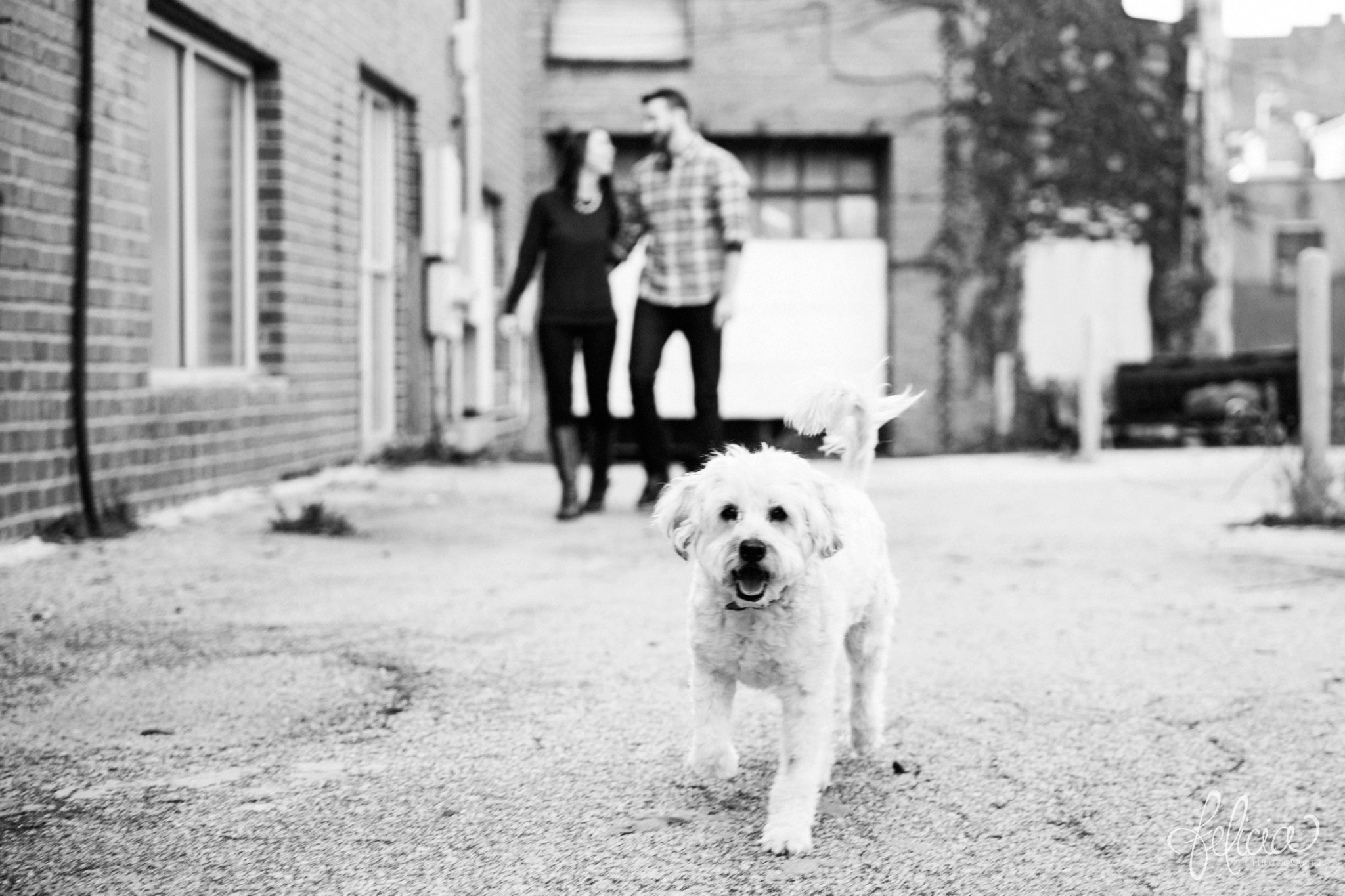 images by feliciathephotographer.com | engagement photos | engagement photography | Kansas City | West Bottoms | images by feliciathephotographer.com | urban setting | industrial background | candid | engagement photos with dog | holding hands 