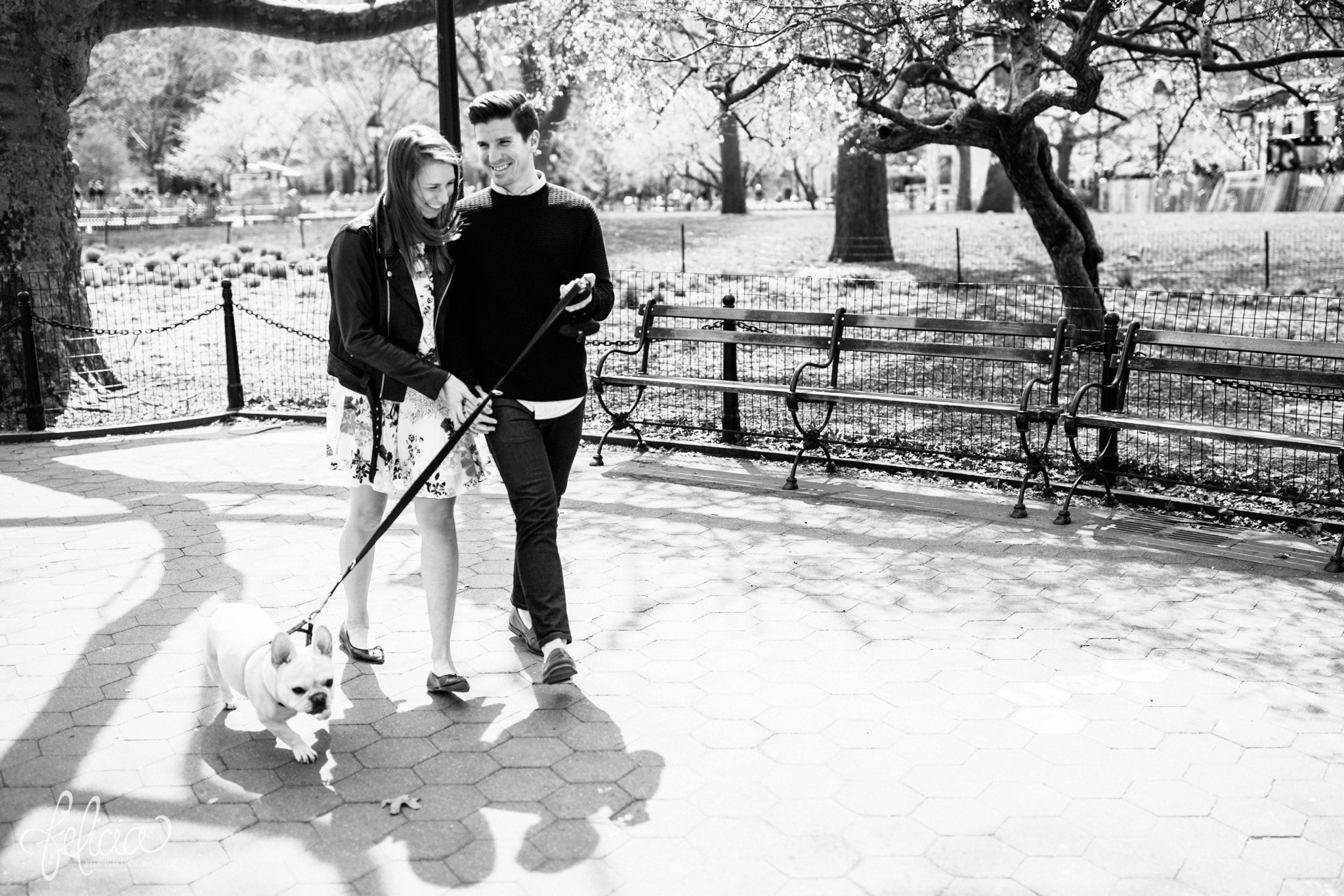 New York City Photography | wedding | New York City | West Village | black and white | candid bride and groom | New York City photography | wedding photography | images by feliciathephotographer.com | French Bulldog | candid engagement photos | engagement pictures with dog | engagement pictures in park | 