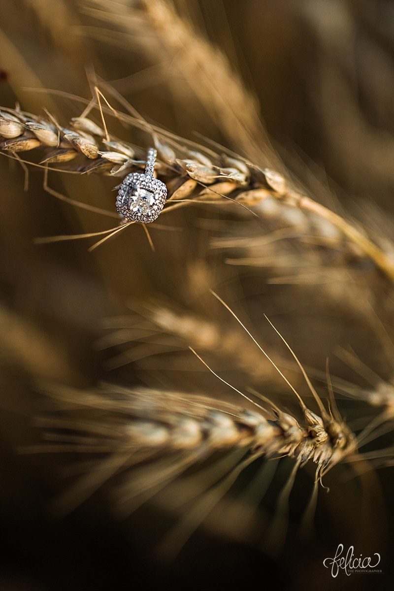  images by feliciathephotographer.com | engagement photographer | kansas farm | country | golden hour | sunset | romantic | true love | southern belle | bride to be | corn field | wheat | square halo top diamond ring 