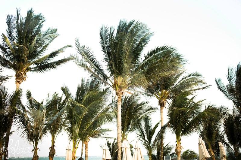 images by feliciathephotographer.com | Destination Beach Wedding | Mexico Resort | Photography | Azul Sensatori | palm trees | umbrella | ocean view | cocktail hour | 