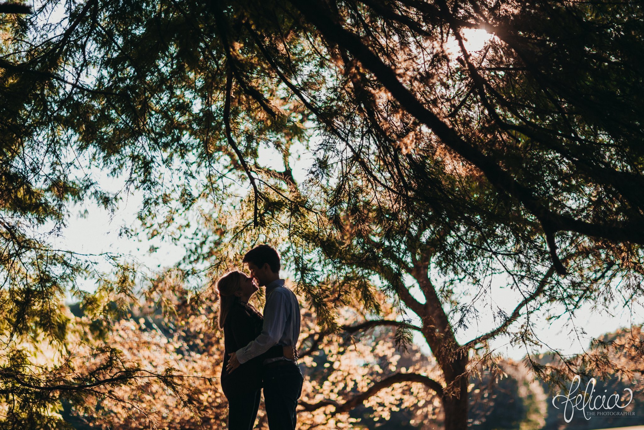 images by feliciathephotographer.com | wedding photographer | kansas city missouri | engagement | contrast | golden hour | sunset | true love | romantic | trees | forest | classic | 