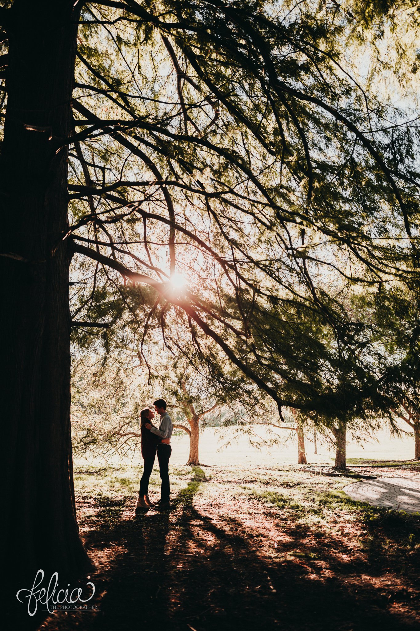 images by feliciathephotographer.com | wedding photographer | kansas city missouri | engagement | contrast | golden hour | sunset | true love | romantic | trees | forest | classic |