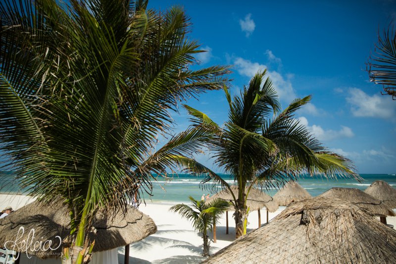 Destination Beach Wedding | Mexico Resort | Photography | Azul Sensatori | images by feliciathephotographer.com | Palm Trees | Canopy | Ocean Views  